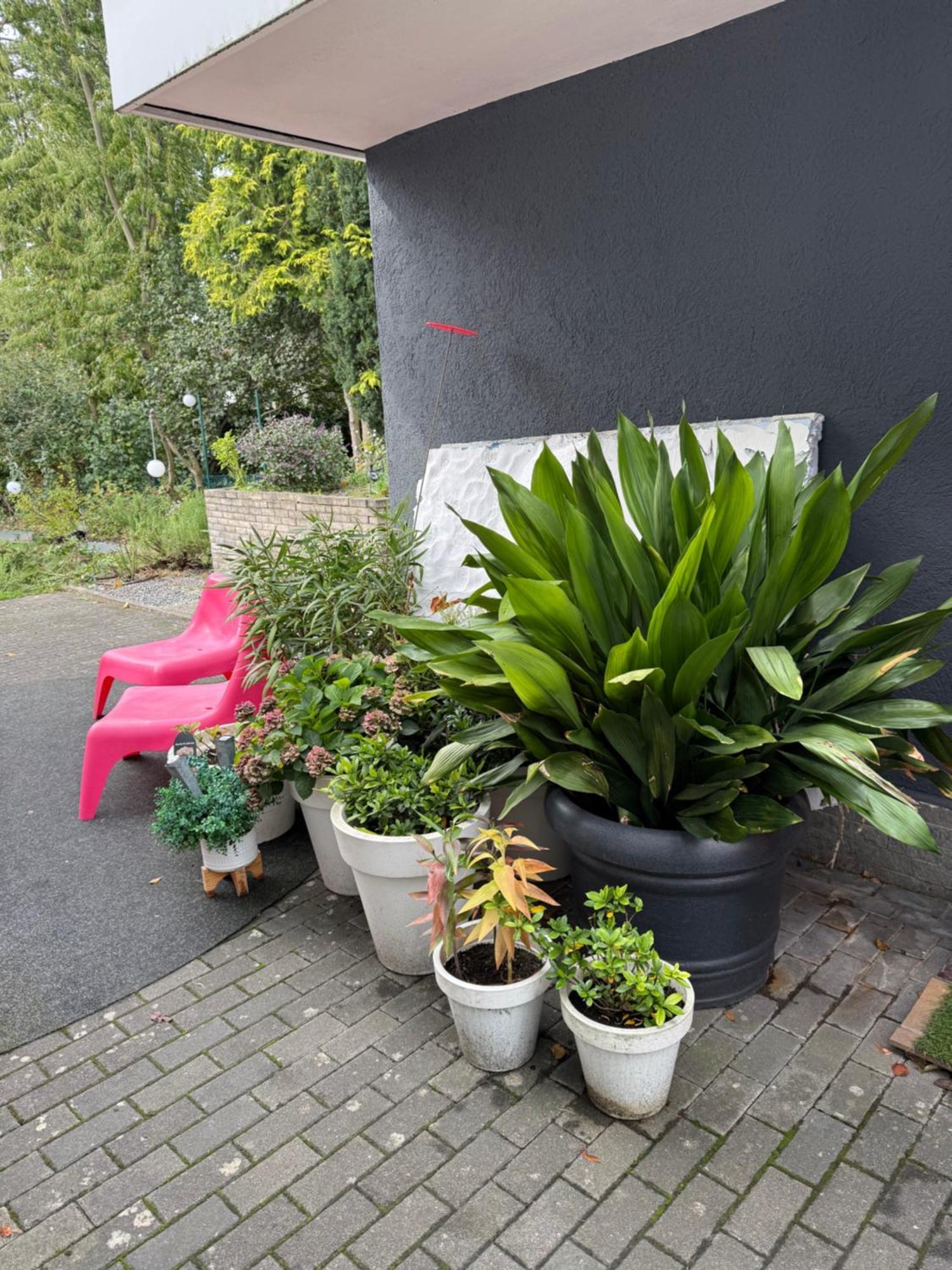 Modernes 1 Zimmerapartment Nahe Frankfurt Am Main Heusenstamm Exterior foto